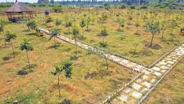 With 17 new woodlots, TN green initiative's goal of 100 village forests edges closer to reality