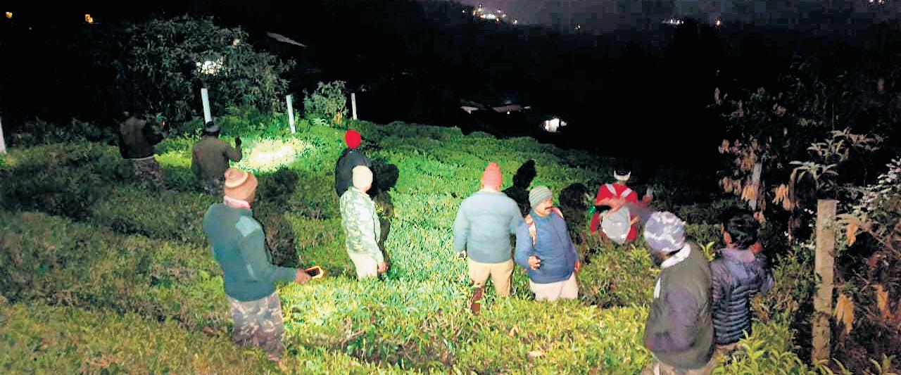 Missing woman found dead in Ooty, tiger attack suspected