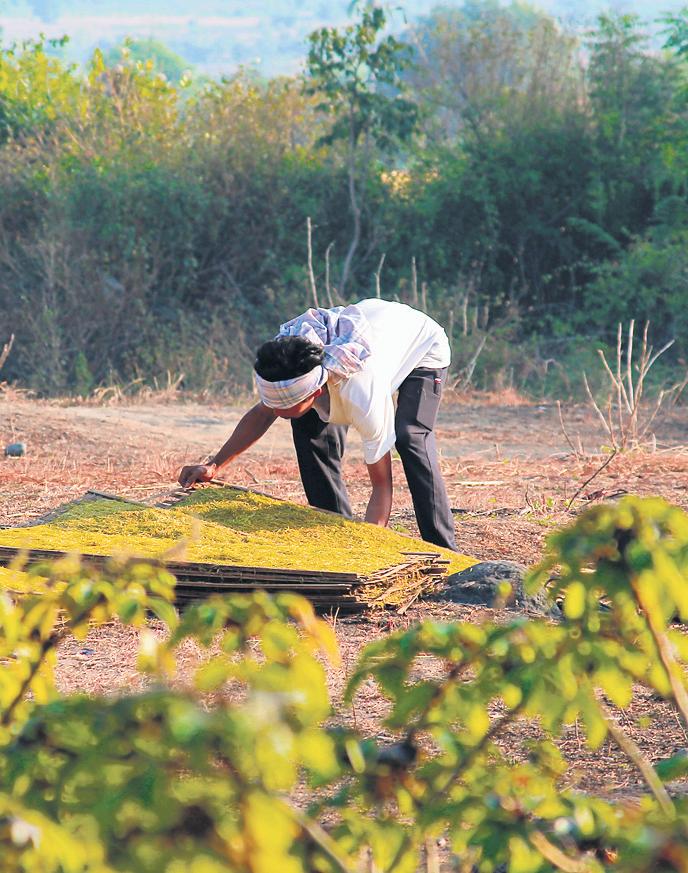 What is the controversy over Green Credit Rules all about