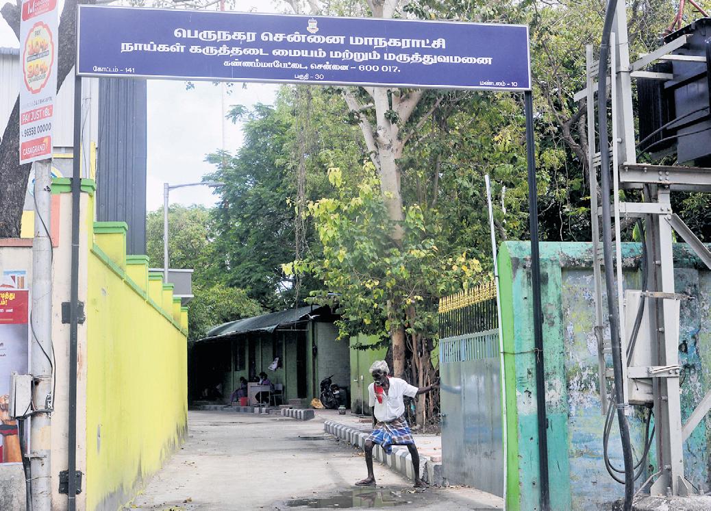 Dogs Sent for ABC Op 'Vanish' From Pound