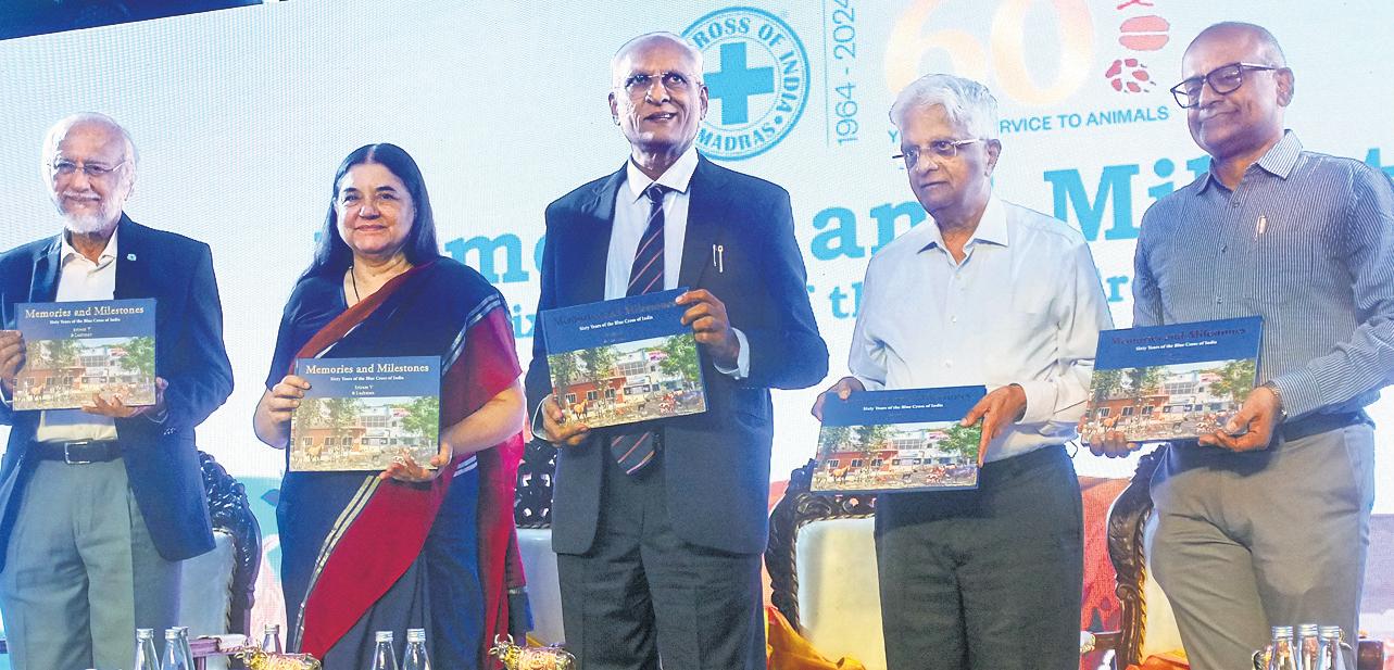 Sixty Years of Speaking for the Voiceless