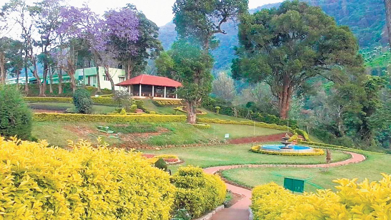 Ooty to Have Its First 3-Day Plantation Crop Summer Show in May