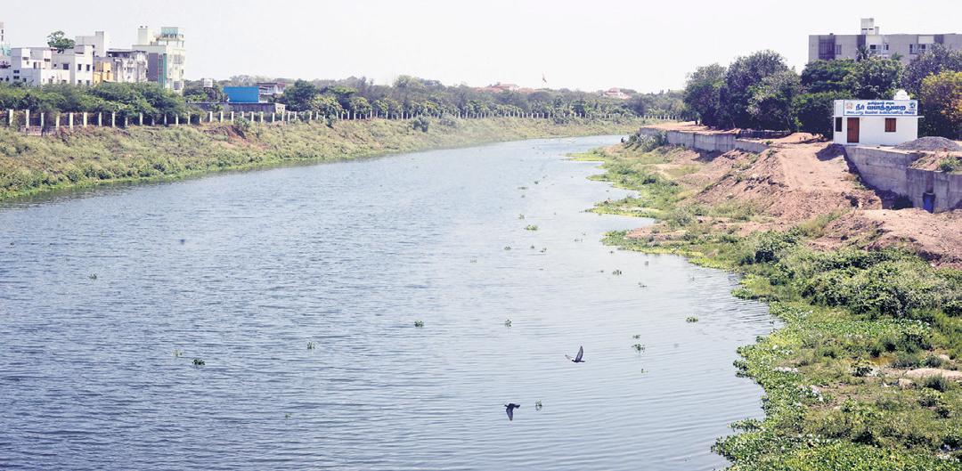 Govt gets green tribunal notice after report on 'alarming' Adyar pollution