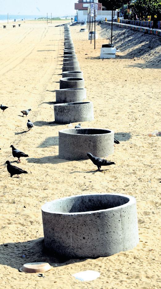 Corpn tree-planting drive along Marina not so green?