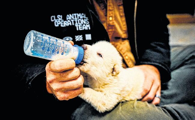 CRYING WOLF: TIME CAPSULES NEEDED, NOT TIME MACHINES