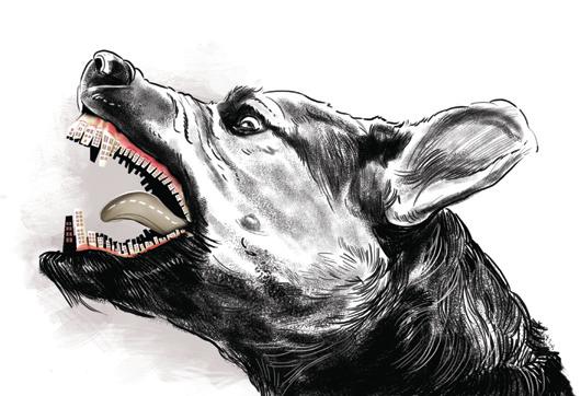 HC asks TN to consider declaring rabies in animals a notifiable disease