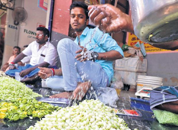 Blooming supply keeps flower prices stable on Chithirai Vishu
