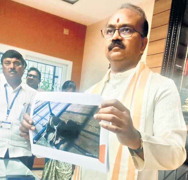 Ex-chief's allegations on cow deaths in Gosala baseless, says Tirumala EO