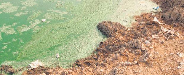 It's Not Success, But a Hazard, Residents Near WTE Plant in Hyd Warn Chennai