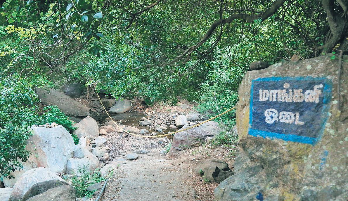 Steel bridges on way to Sathuragiri Hills to prevent flash flood tragedies