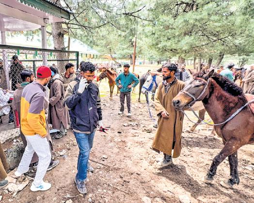 PIL seeking directions to MHA on deploying forces at tourist spots rejected