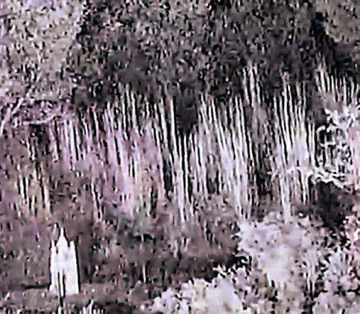 Infiltration bid foiled, 7 terrorists eliminated in J&K