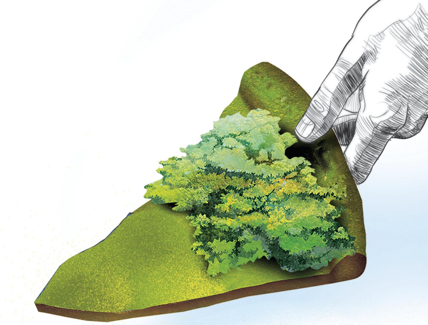 SC RENDERS GREEN JUSTICE, ORDERS NATIONWIDE SIT TO PROBE RESERVED FOREST LAND GRAB