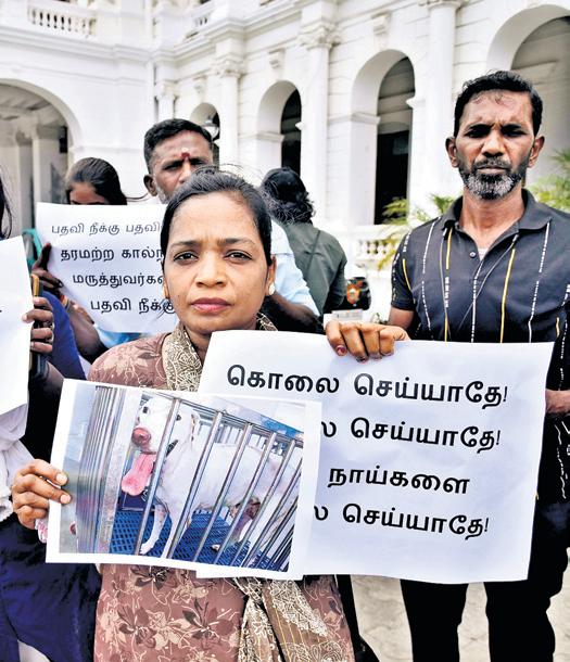 Stir against 'botched' ABC surgeries at Pulianthope