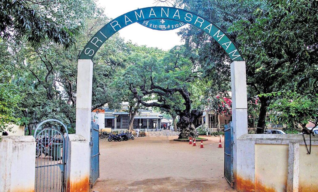 Cultural Icon to Get 'Coined'
