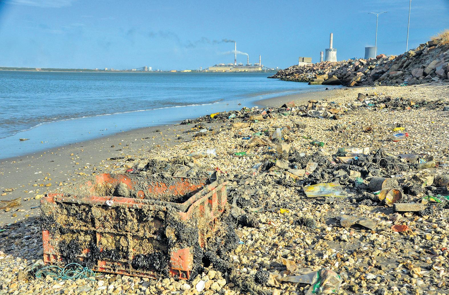 Discarded fishing gear major cause of marine debris in 13 TN districts
