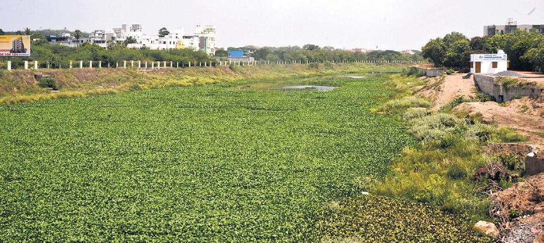 CM to Kick-Start Adyar River Restoration Project in Sept