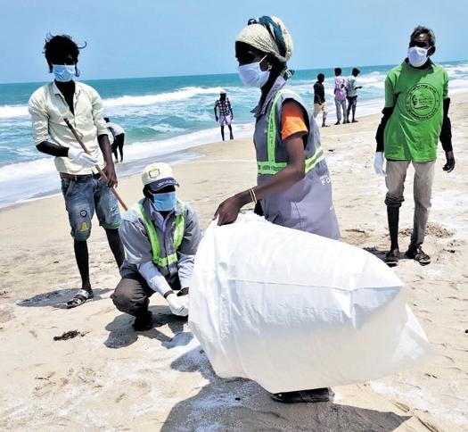 500kg of nurdles collected in Dhanushkodi