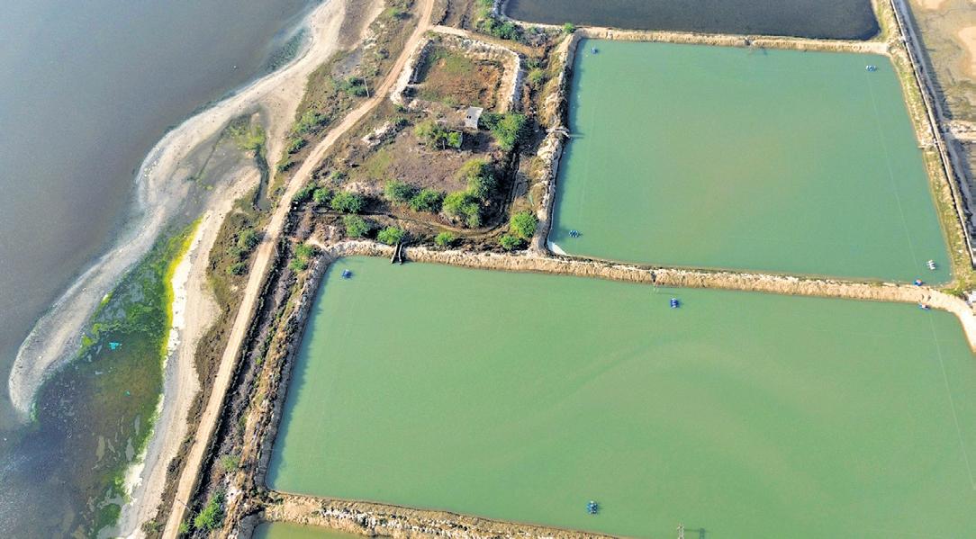 Pulicat 'land grab': Shrimp farm units may face action