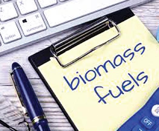 Government Eases Rules Under Biomass Programme; Cuts Down Paperwork