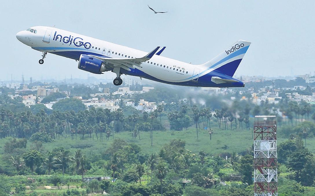 Bird, animal hits raise safety concerns at major airports