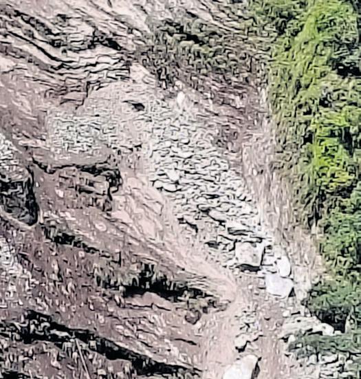 12 Injured as Landslip Hits Hydroelectric Project Site in Uttarakhand's Chamoli District