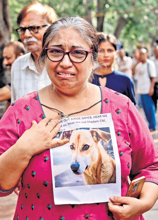 From netas to abhinetas, growl grows louder