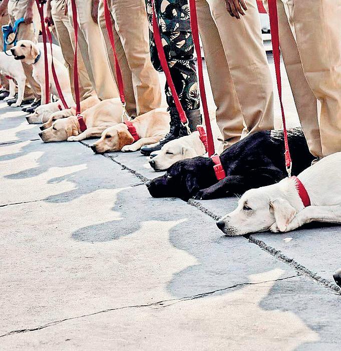 In a first, BSF trains dogs to detect drones with drugs, arms from Pak