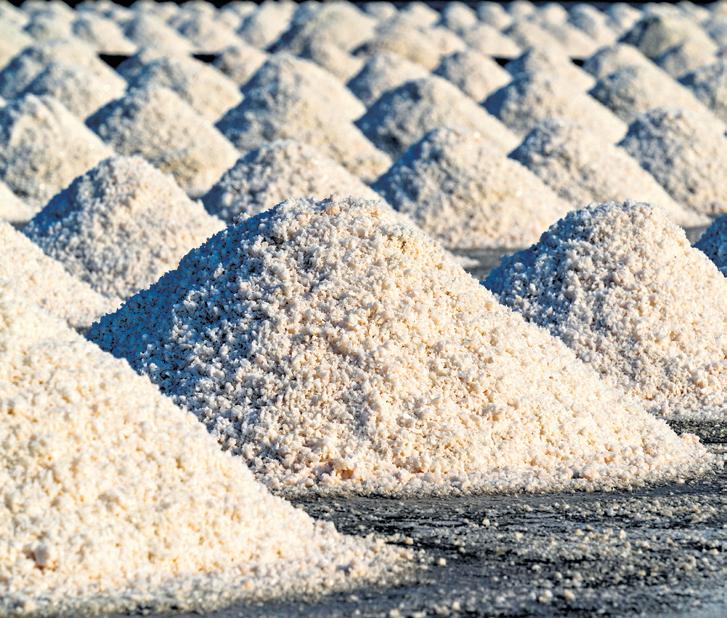 The Worth of Salt