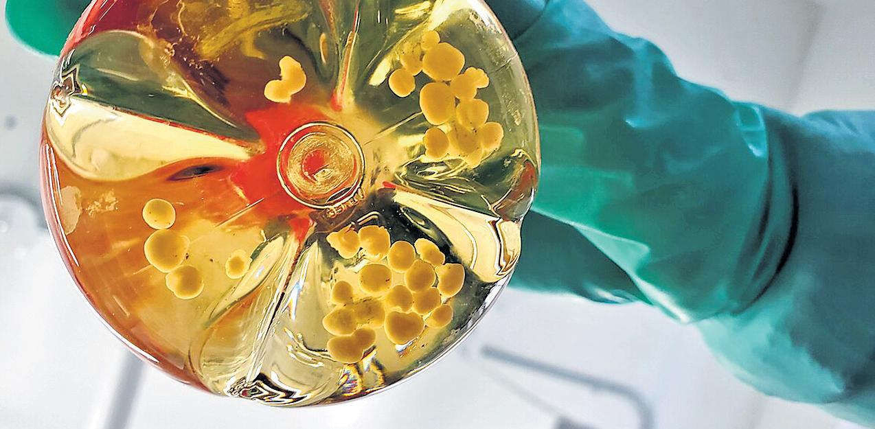 A future for medicine
