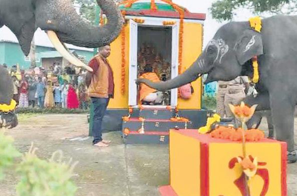 Jumbos Join Ganesha Celebrations at Theppakkadu