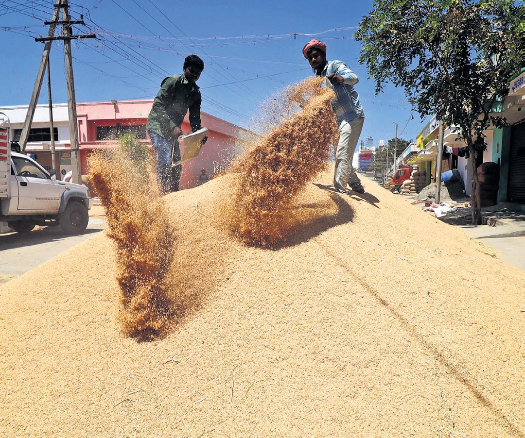 Ahead of Kharif Marketing Season, TN Fixes Procurement Price at ₹2.5K
