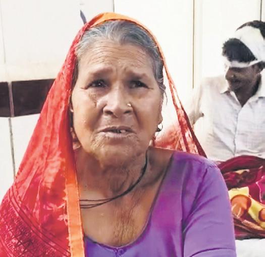 Bleeding from 18 bite wounds, 65-yr-old woman battles, kills jackal in 30 minutes