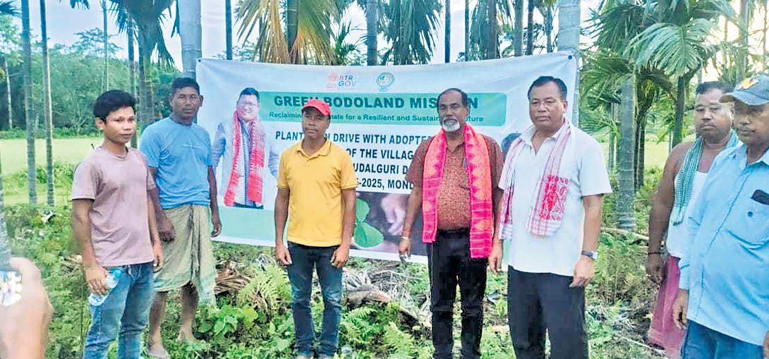 Bodo youths lead drive to reclaim forest cover