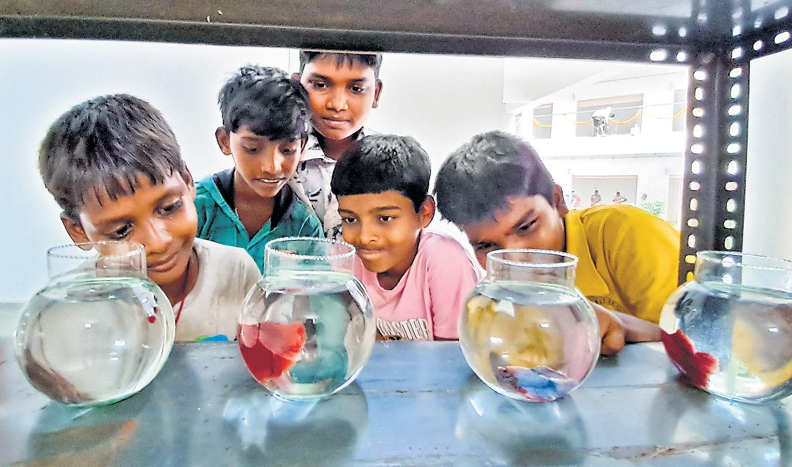 CM opens India's first int'l-grade ornamental fish trade hub in city