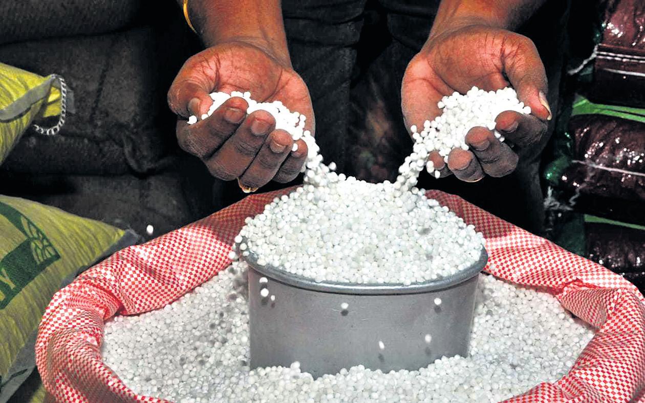 Low demand, poor oversight: The ‘sago’ of Salem’s tapioca pearls