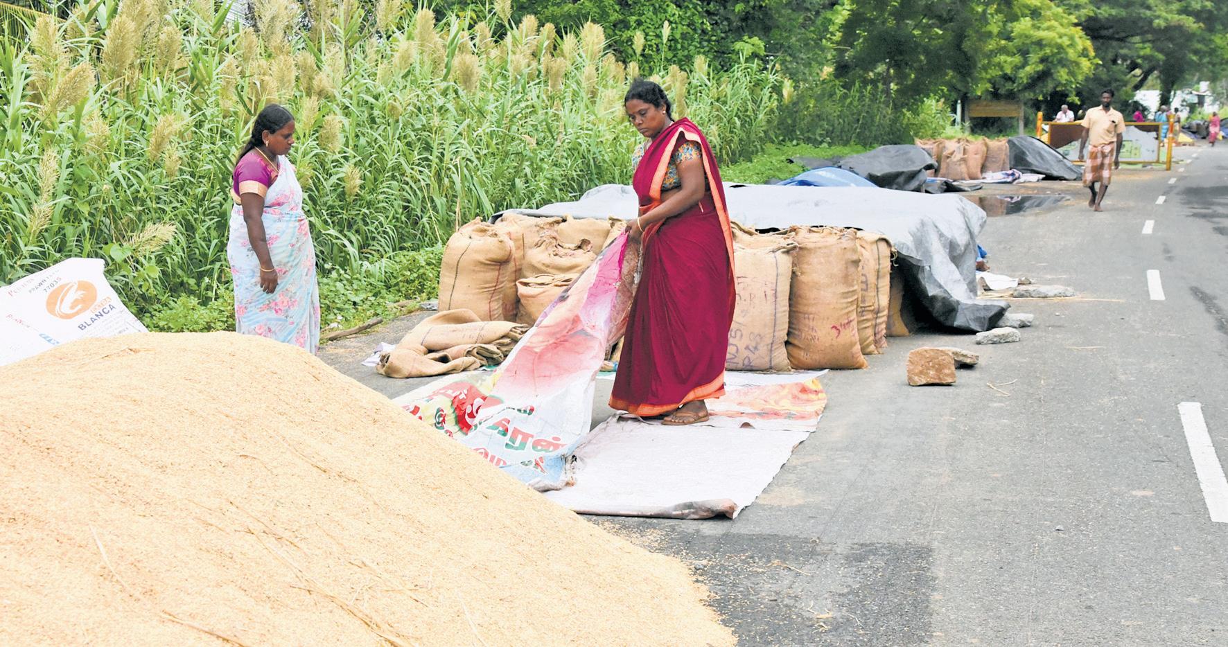 Farmers worry as manpower shortage slows paddy procurement at DPCS