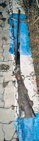 Spotted deer poached at Vayalur: Police intercept suspects on ECR