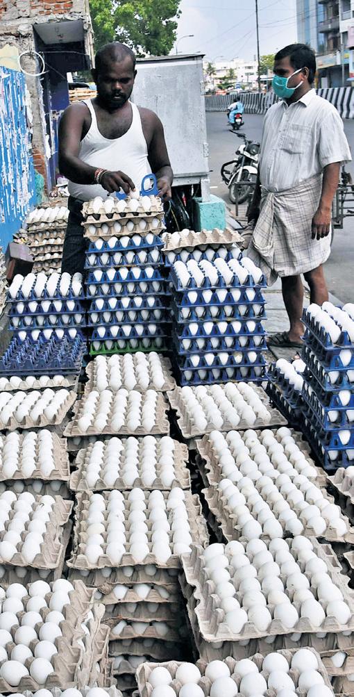 Namakkal farm gate price of eggs hits record ₹6 apiece for first time