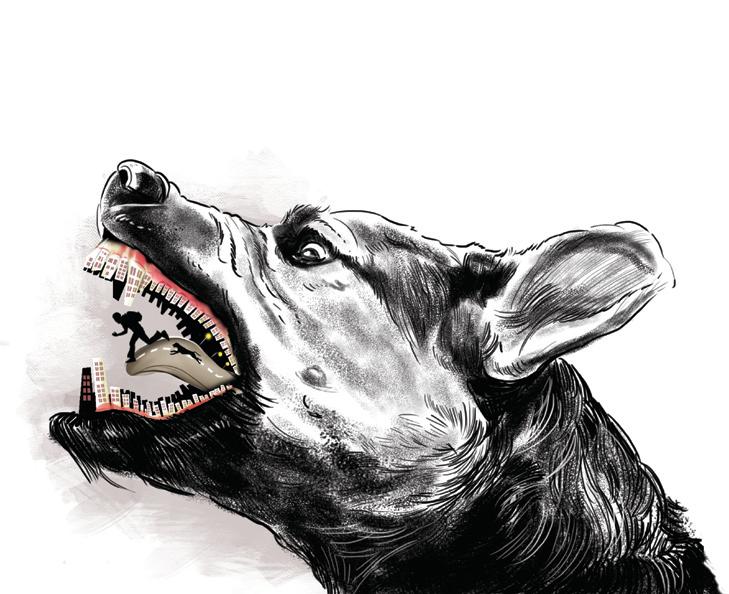 Man bitten by dog in June dies of suspected rabies