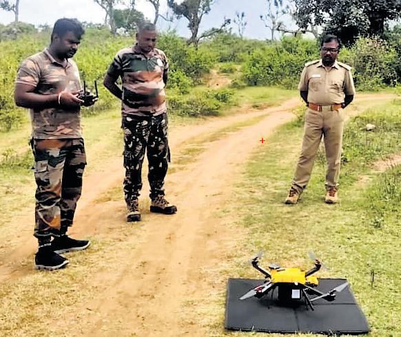 Jumbo Rivaldo missing for 29 days, search on