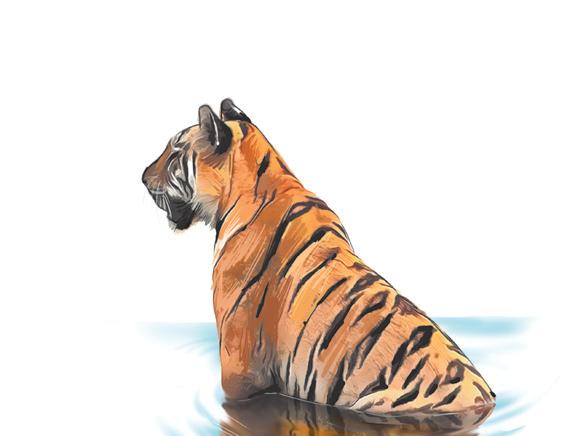 Rain, delay in updating M-Stripes app affecting tiger census work in TN forests