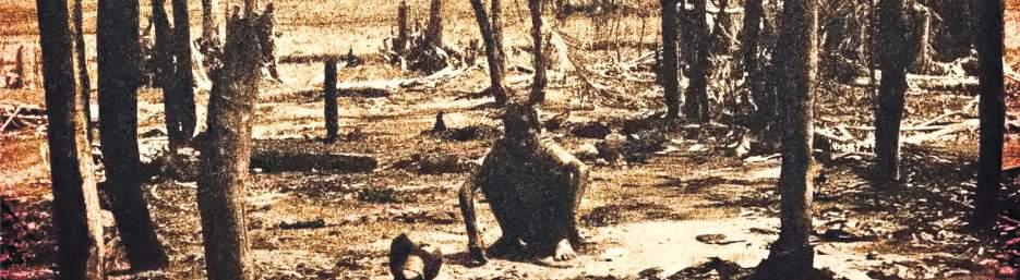 THE KILLING FIELDS OF NELLIE