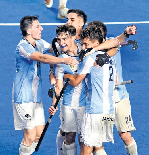 Article on Dutch website galvanises Argentina