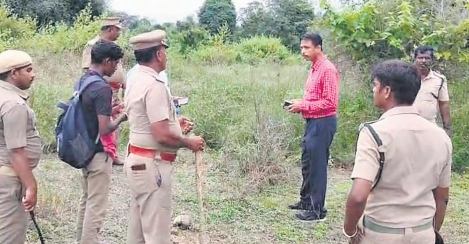 Postmortem done on 3 jumbos in Vellore