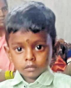 Toddler drowns in pond, brother rescued