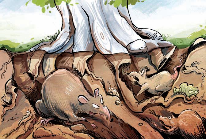 CRUCIAL BITES FOR TOOTHLESS CITY ADMINISTRATORS