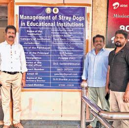 Colleges told to set up panels to keep stray dogs off campus
