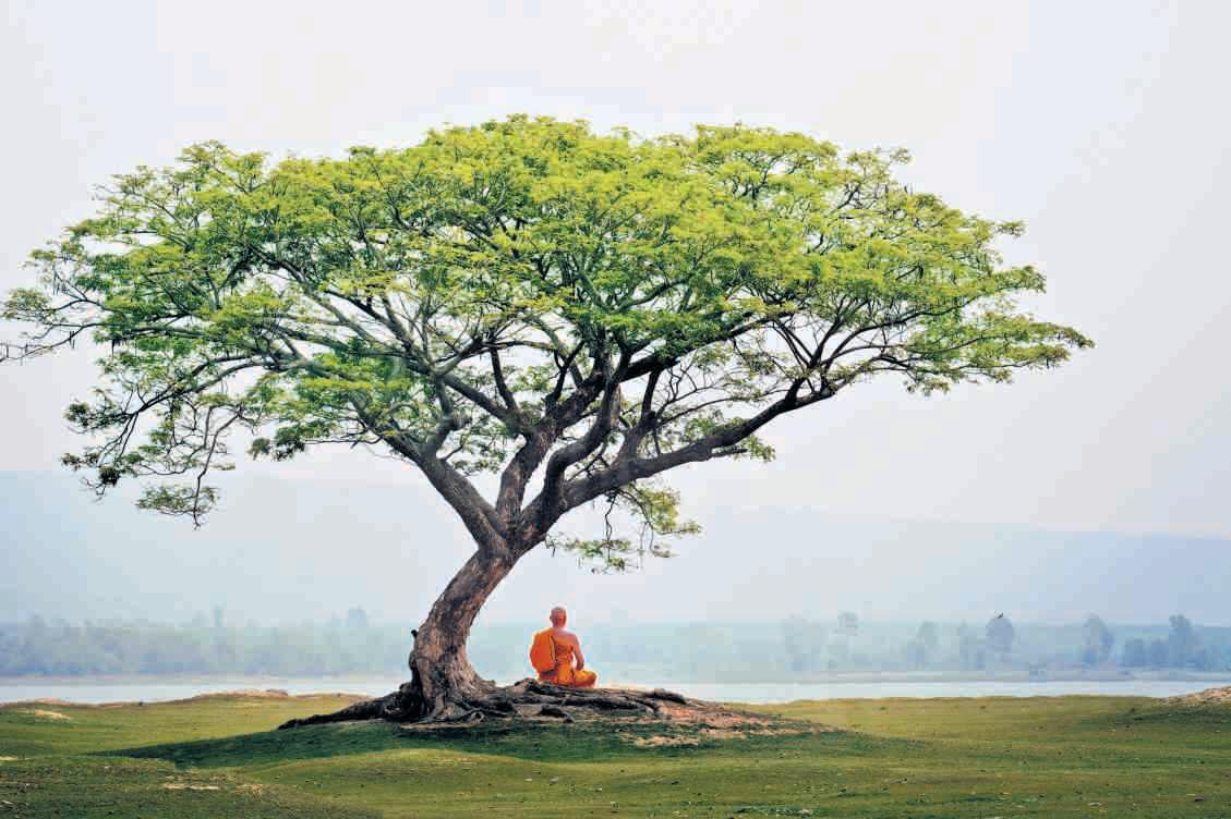 Discovering the Divine Connect