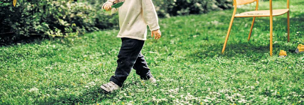 Choosing the right grass for your garden